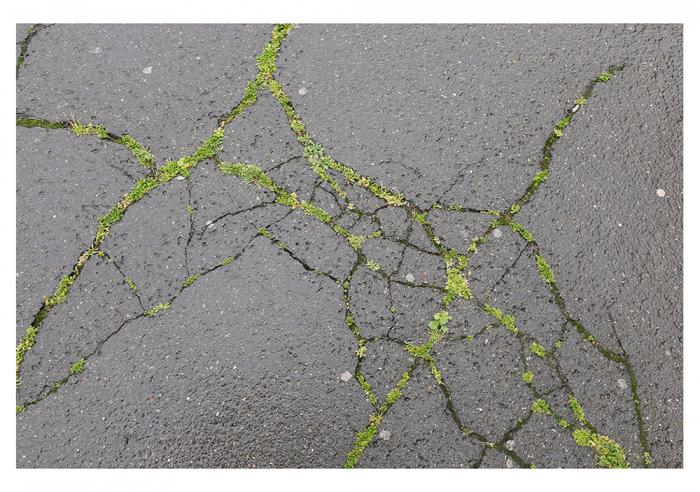 Fotografija Boris Cvjetanovićiz ciklusa Priroda i grad