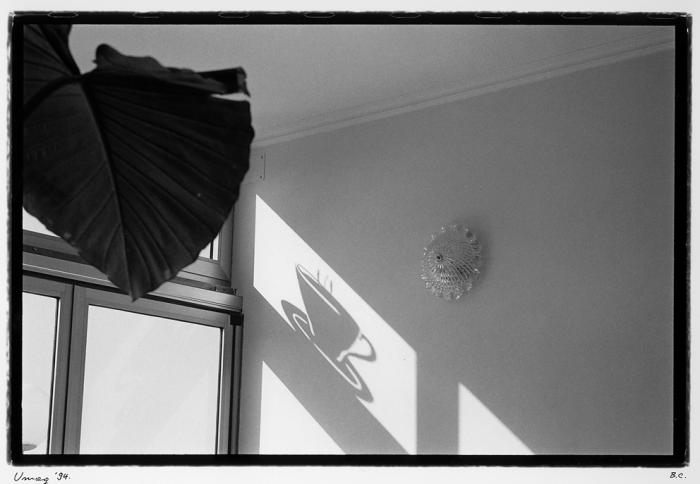 B. Cvjetanović, iz ciklusa "Prizori bez značaja"