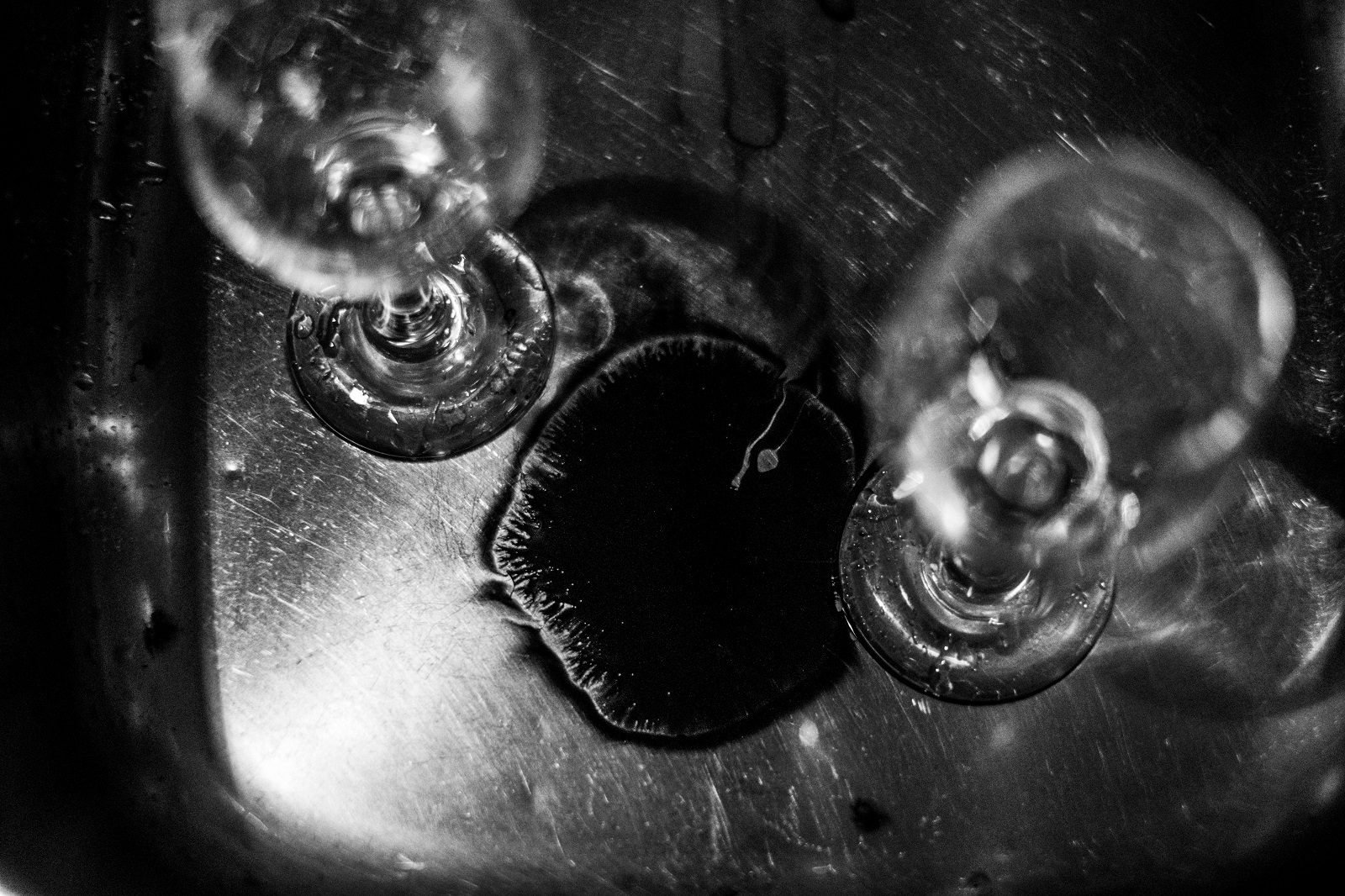 Čaše. Fotografija Adrijana Vidić