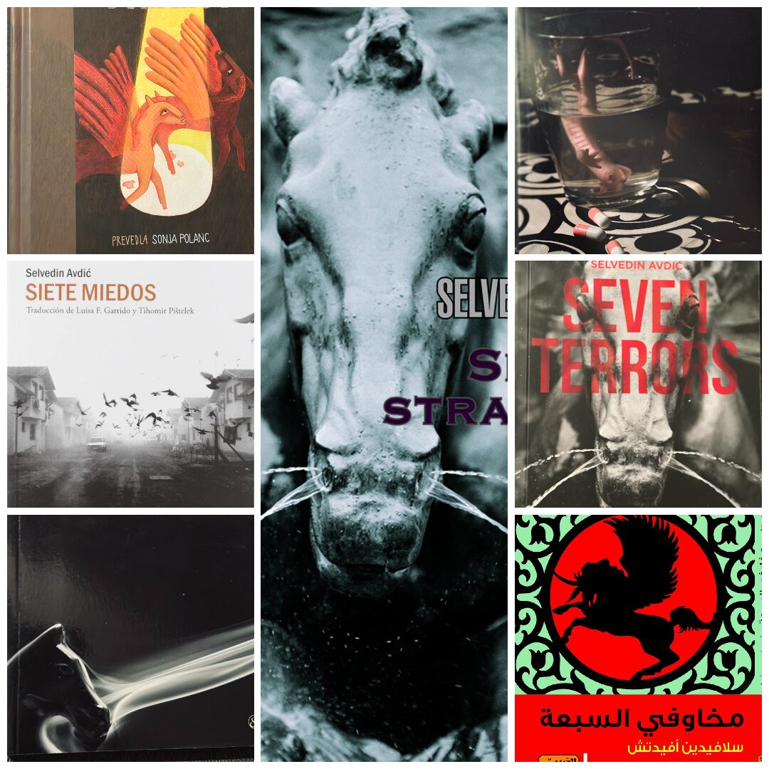 Kolaž naslovnica: Sedam strahova