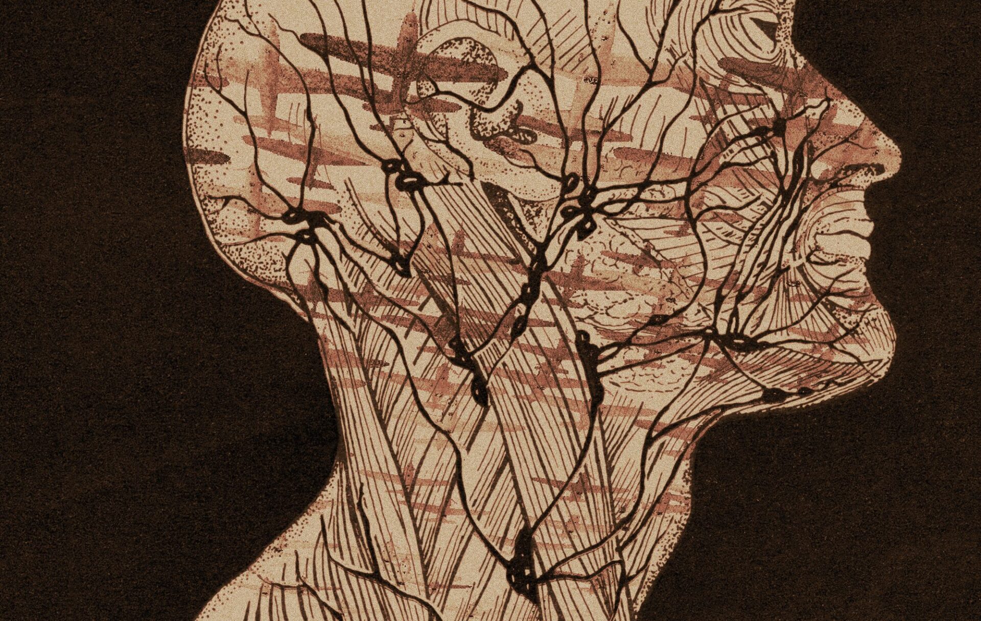 Ilsutracija Željko Serdarević & Draga n Mileusnić