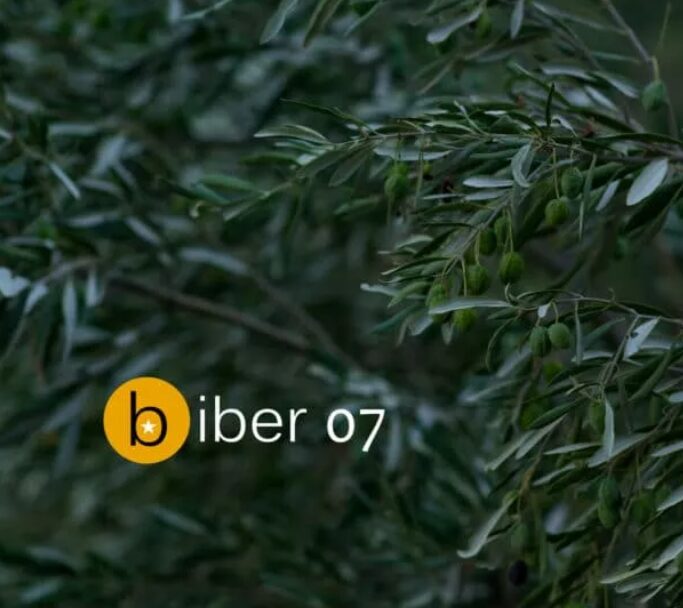 Promo: 7. Biber